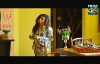 Aahista Aahista Episode 07 Hum Sitaray Drama