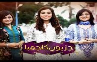 Chirryon Ka Chamba Episode 10 Hum Sitaray Drama
